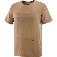 Salomon Graphic SS Tee Kahverengi Erkek T-shirt