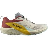 Salomon L47211800_SENSE RIDE 5 Bej Erkek Koşu Ayakkabısı