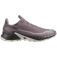 Salomon L47311000 Alphacross 5 GTX W Mor Kadın Koşu Ayakkabısı