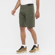 Salomon LC1762000 WAYFARER SHORTS M Normal Yeşil Erkek Şort