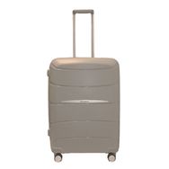 Samsonite 137394 Spinner Gri Orta Boy Valiz