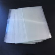 Samsung Galaxy S10 Plus G975 Oca