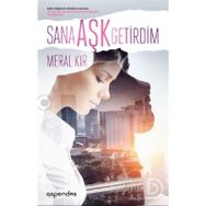 Sana Aşk Getirdim - Meral Kır