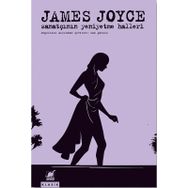 Sanatçının Yeniyetme Halleri - James Joyce