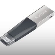Sandisk SDIX40N-256G-GN6NE Flash Bellek