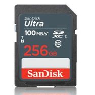 Sandisk SDSDUNR-256G-GN3IN Fla 256 GB Ultra Class10 MicroSD