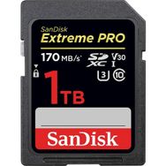 Sandisk SDSDXXD-1T00-GN4IN 1 TB C10 SD Kart