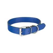 Sanlian 1,5 cm x 35 cm Köpekler İçin İsimlikli Boyun Tasması