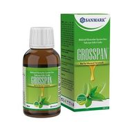 Sanmark Grosspan Bal Mentol Aromalı 100 ml Şurup