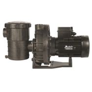 Santem Vısco 3 Hp 2.2 Kw Trifaze Havuz Pompası