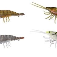 Savage Gear 3D Hybrid Shrimp 10 cm 17 gr Silikon Karides Suni Yem
