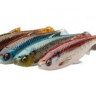 Savage Gear 3D River Roach 12 cm 17 gr Clear Water Mix 4 Adet Jig Yem