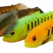 Savage Gear Craft Cannibal Paddletail 4 Adet 6.5 cm 4 gr Dark Water Mix