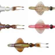 Savage Gear Swim Squid Rtf 18 cm 90 gr Horny Squid Suni Yem