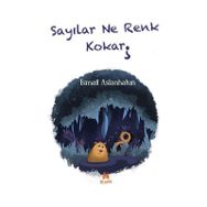 Sayılar Ne Renk Kokar İsmail Aslanhatun