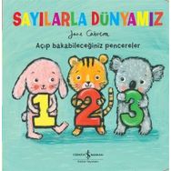 Sayılarla Dünyamız - Marianne Taylor Crive Gifford Steve Martini Steve Martin