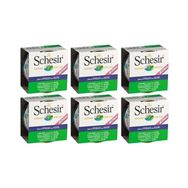 Schesir 6x85 gr Tavuklu Aloeveralı Yavru Kedi Konservesi