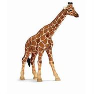 Schleich 17007 Zürafa Dişi Figür Oyuncak