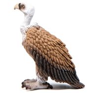 Schleich Kızıl Akbaba Figür Oyuncak