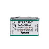 Schmincke 511 Chrom Oxide Green Brill Seri 2 Horadam Aquarell 1/1 Tablet Sulu Boya