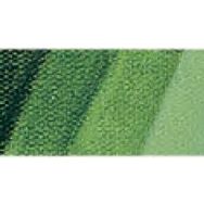 Schmincke 526 Sap Green Mussini Artist Yağlı Boya 35 ml Seri 2