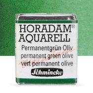 Schmincke Horadam Yarım Tablet Permanent Green Olive Sulu Boya