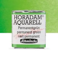 Schmincke Horadam Yarım Tablet Permanent Green Sulu Boya