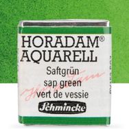 Schmincke Horadam Yarım Tablet Sap Green Sulu Boya