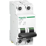 Schneider A9N61522 C60H 2P 2 A C Tipi Minyatür Otomatik Sigorta