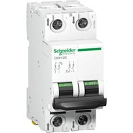 Schneider A9N61532 C60H 2 Kutup 20 A C Tipi Minyatür Otomatik Sigorta