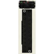 Schneider BMXDDO1602H M340 Zorlu Ortamlar için 24 Watt DC 16 Çıkışlı Solid State Dijital Çıkış Modülü