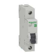 Schneider EZ9F34110 1x10 Amper 1 Fazlı C Tipi 4,5 kA Otomatik Sigorta