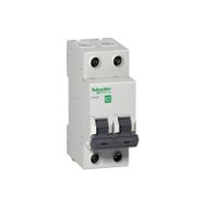 Schneider EZ9F43206 C Tipi 2x6A Otomatik Sigorta