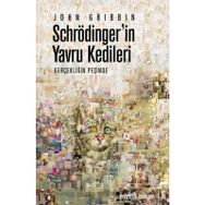 SCHRÖDİNGER'İN YAVRU KEDILERI GERÇEKLİĞİN PEŞİNDE - JOHN GRIBBIN