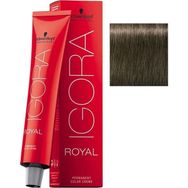 Schwarzkopf 2 Adet Igora Royal 6-1 Koyu Kumral-Sandre Saç Boyası
