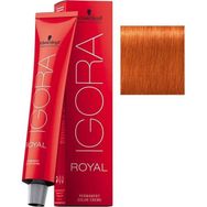 Schwarzkopf 2 Adet Igora Royal 8-77 Açık Kumral-Yoğun Bakır Saç Boyası