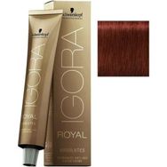 Schwarzkopf Igora Royal Absolutes 6-80 Koyu Kumral x 7 Adet Doğal Kızıl Saç Boyası