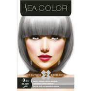 Sea Color 0.01 Füme Gri 2'li Saç Boyası