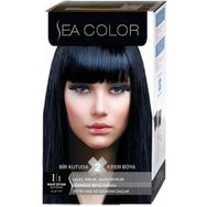 Sea Color 1/1 Mavi Siyah Saç Boyası