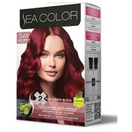 Sea Color 2x2 Çilek Kırmızısı No 5 65 Krem Saç Boyası