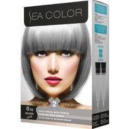 Sea Color Kit 0.01 Füme Gri Silver 24'lü Saç Boyası