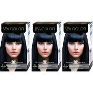 Sea Color Mavi Siyah 3-0 100 ml Saç Boyası