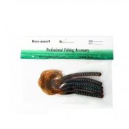 Sea Horse 15 cm L04 Live Worm Suni Yem