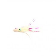 Sea Horse AHT-02 5'li Paket 12 cm Ahtapot