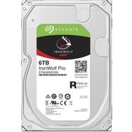 Seagate ST6000NE000 6TB Sabit Disk