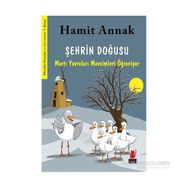 Şehrin Doğusu - Hamit Annak