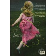 Senden Sonra - Julie Buxbaum