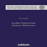 Sendikal Örgütlenmede İşkolunun Belirlenmesi - İrem Çelik