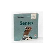 Senses - Baby University First Concepts Stories 2 Sincap Kitap