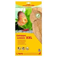 Sera 32 cm XXL Catappa Yaprağı
